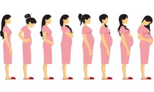 孕妇吃鹅蛋行吗网 - 网站提供孕妇吃鹅蛋有什么好处和功效小常识、孕妇吃鹅蛋有什么好处和功效