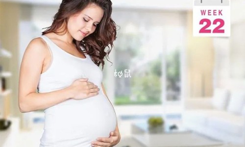 孕妇吃鹅蛋行吗?-孕妇吃鹅蛋行吗网 - 网站提供孕妇吃鹅蛋有什么好处和功效小常识、孕妇吃鹅蛋有什么好处和功效
