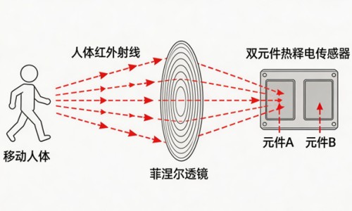 孕妇吃鹅蛋怎么吃对胎儿最好-孕妇吃鹅蛋行吗网 - 网站提供孕妇吃鹅蛋有什么好处和功效小常识、孕妇吃鹅蛋有什么好处和功效
